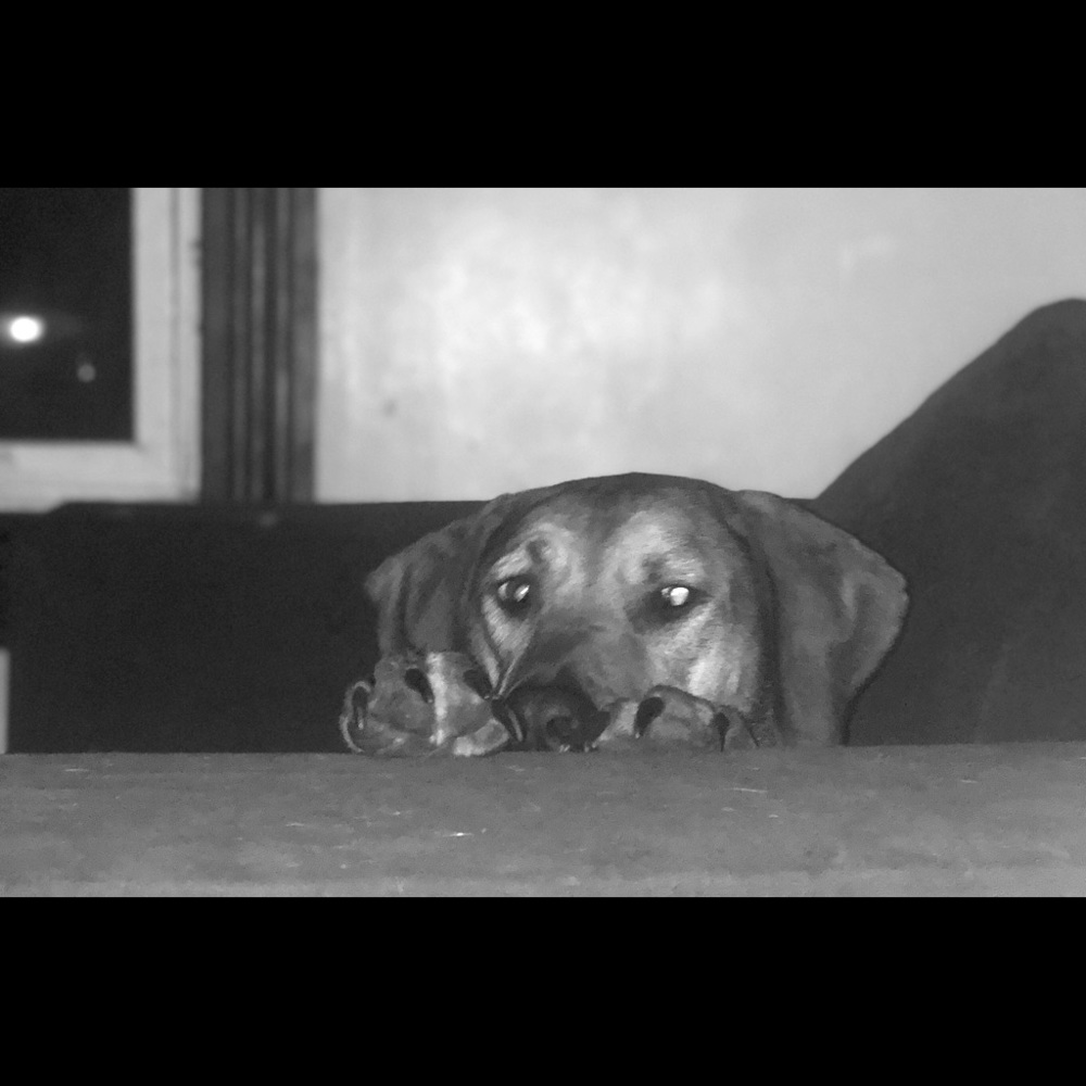 Meet your Posher, Marjorie